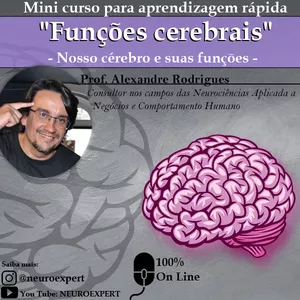 Imagem principal do produto Nosso cérebro e suas funções
