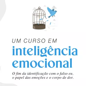 Imagem de capa para o Curso online Um Curso em Inteligência Emocional