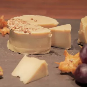 Curso de queijos veganos