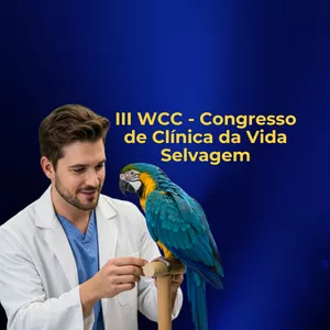 Imagem de capa para o Curso online III WCC - Inscrição