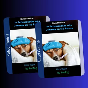 Imagen de portada para Curso online 10 Enfermedades mas comunes en los PERROS