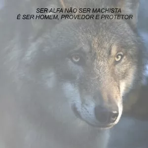 Imagem de capa para o Ebook Provérbios da Mente do Homem Alfa