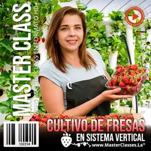 Imagen principal del producto Cultivo de Fresas en Sistema Vertical