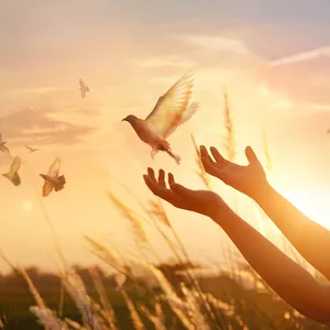 Imagem de capa para o Ebook Como Superar o Alcoolismo e Reconquistar o Controle da sua Vida. Depoimento de quem venceu esse mal.