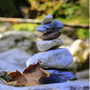 Cover image for Ebook Unlock Your Home's Wealth Secret With Feng Shui