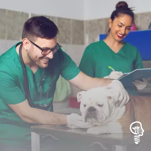 Imagem do curso AUXILIAR VETERINÁRIO