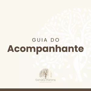 Imagem de capa para o Ebook Guia do Acompanhante