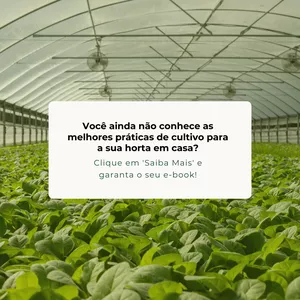Imagem de capa para o Ebook Guia pratico de hortaliça horganica