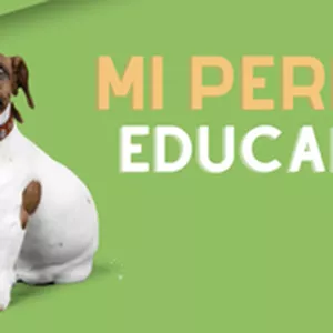 Imagen de portada para Curso online Programa Mi Perro Educado Express