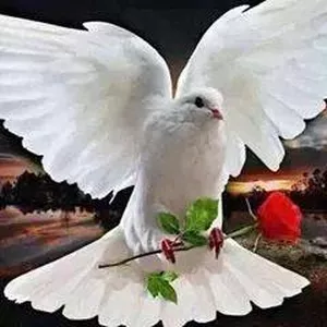 Imagen de portada para Curso online Cancionero Cristiano 2.0