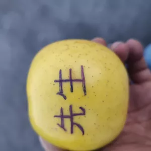 Imagen de portada para Ebook Manejo defensivo 