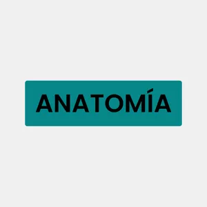 Imagen de portada para Curso online ESP - Material de Anatomía 