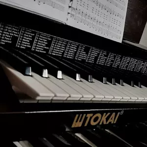 Imagem do curso APERFEIÇOAMENTO DO HINÁRIO- ÓRGÃO