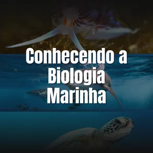 Imagem de capa para o Curso online Conhecendo a Biologia Marinha
