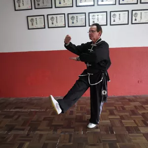 Imagem de capa para o Curso online Kung Fu Shaolin 18 Punhos-Forma Especial  -Shíbā Shǒuquán/ 十八手拳