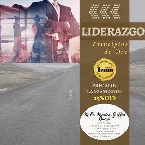 Imagen de portada para Curso online Liderazgo, Principios de Oro- John Maxwell Team