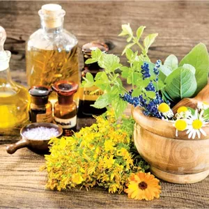 Imagem de capa para o Curso online Formação Reiki Fitoterápico Etérico 