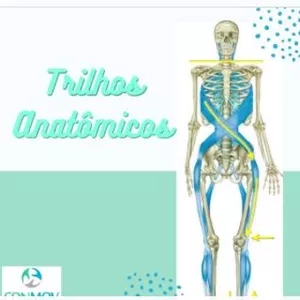 Imagem de capa para o Curso online Trilhos Anatômicos e Fascias