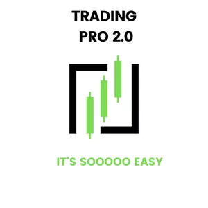 Cover image for Ebook Trading Pro 2.0 Book