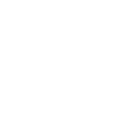 The Ancestor Project logo