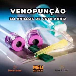 Imagem de capa para o Curso online Venopunção em animais de companhia