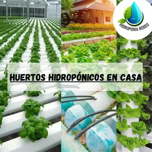 Imagen de portada para Curso online Los huertos hidroponicos la mejor opción 
