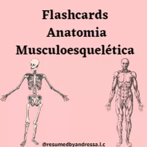 Imagem de capa para o Ebook Flashcards  Anatomia Musculoesquelética 