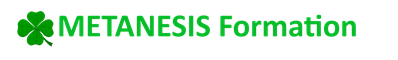 METANESIS Académie