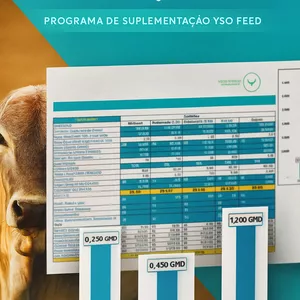 Imagem do curso Programa de Suplementação para Bovinos 