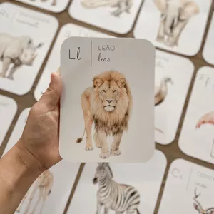 Imagem de capa para o Curso online Flashcard Safari 