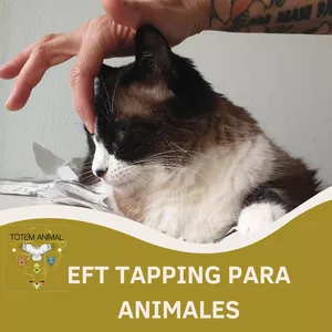 Imagen de portada para Curso online Curso online EFT para Animales