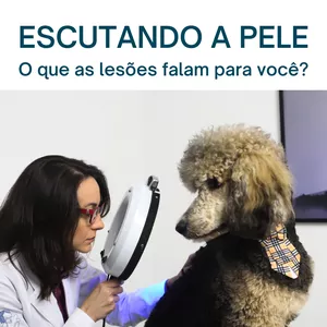Imagem de capa para o Curso online Curso de Semiologia cutânea  - Escutando a pele