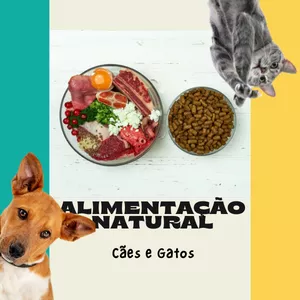 Imagem de capa para o Curso online Alimentação Natural para cães e gatos