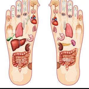 Imagen de portada para Ebook Curso de REFLEXOLOGIA