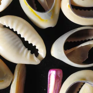 Cover image for Online course PART 1 Erindinlogun for Olorisa - Module 2 - Ogunda &amp; Irosun