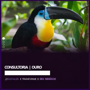 Imagem de capa para o Serviço online Consultoria Empresarial - Ouro
