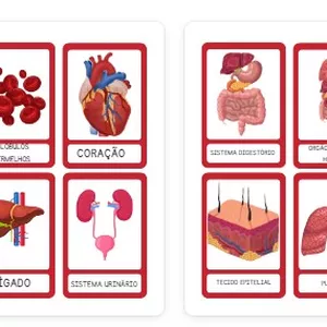 Imagem de capa para o Ebook CORPO HUMANO E SISTEMA URINÁRIO 
