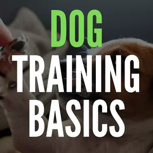 Imagem principal do produto Dog Training Basics 