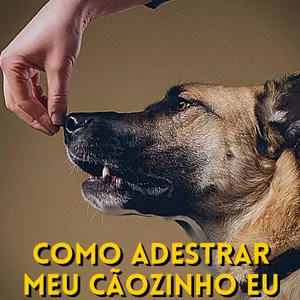 Imagem de capa para o Ebook Como Adestrar Meu Cãozinho Eu Mesmo