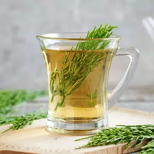 Imagem de capa para o Ebook +100 Receitas de Chás Terapêuticos 