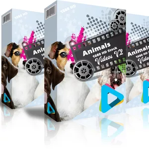 Cover image for Online course Animals 1080 HD Stock Videos V2