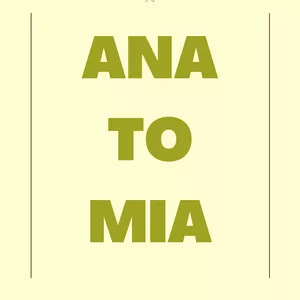 Imagem de capa para o Ebook Resumos de Anatomia