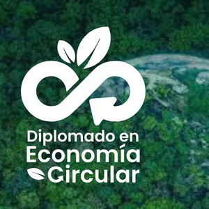 Imagen de portada para Curso online Diplomado Economía Circular