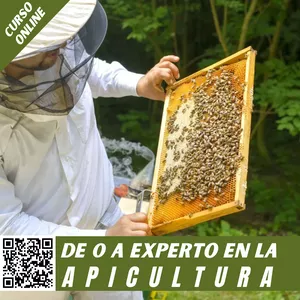 Imagen de portada para Curso online De 0 a experto en la apicultura