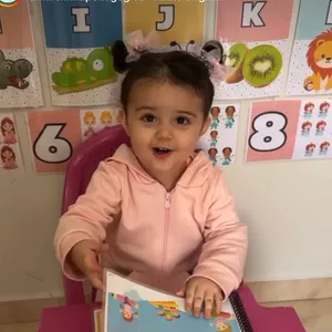 Imagem de capa para o Ebook ALFABETO E NUMERAIS - PARA DECORAR A PAREDE DA SALA