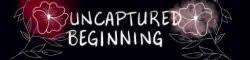 The School of Uncaptured Beginnings