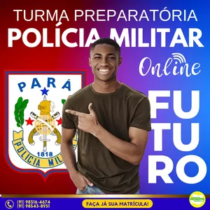 Imagem de capa para o Curso online TURMA PREPARATÓRIA ONLINE PMPA 