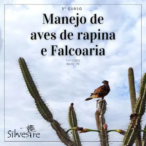 Imagem de capa para o Evento presencial Manejo de Aves de Rapina e Falcoaria