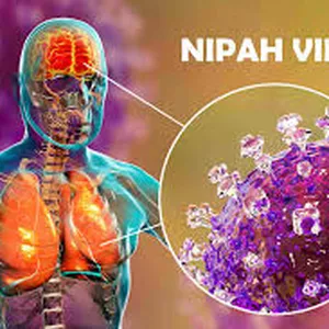 Imagem de capa para o Ebook Saiba tudo sobre o virus Nipah, o virus que está assombrando o mundo.