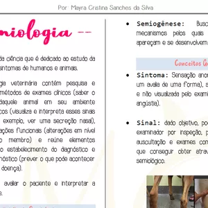 Imagem de capa para o Ebook Introdução a Semiologia Veterinária